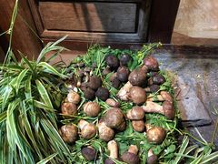 -大理董·董家小厨野生菌火锅(古城旗舰店)