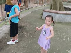 -广东茂名森林公园