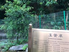 -广州神农草堂中医药博物馆