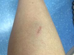 -爱侬家庭服务(望京分部)