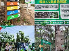 -芦仙山景区-飞越丛林探险乐园