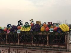 -西安汉城湖景区