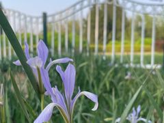 -滨河世纪广场公园