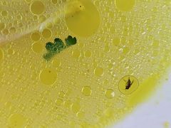 -芸南道·过桥米线(昆明老街旗舰店)