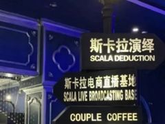 -斯卡拉演艺集团