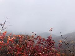 -阳台山自然风景区