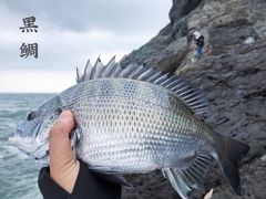 -枸杞岛