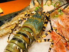 -火舞泰·泰式海鲜火锅餐厅(世纪城店)