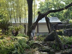 -南山植物园