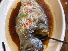 清蒸比目鱼-hallch好吃餐厅(奥体中心店)