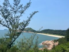 -广东惠东海龟国家级自然保护区