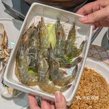 原来沙蒜长这样，长见识了