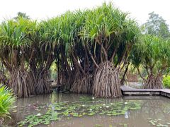 -中国科学院西双版纳热带植物园