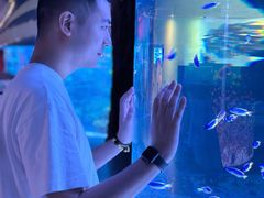 -海合安成都极地海洋公园