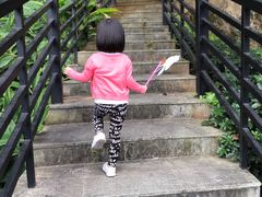 -广州市帽峰山景区