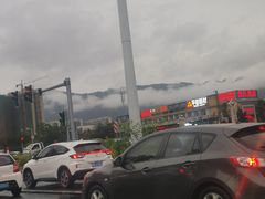 -百里鲜(羚羊峡古栈道森林公园店)