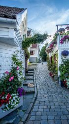 -幻贝家儿童乐园(苏州中心店)