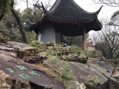-香雪海