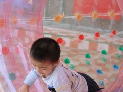 -百万葵园