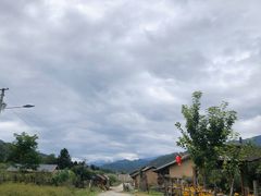 -黑河国家森林公园