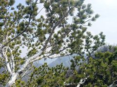 -少华山国家森林公园