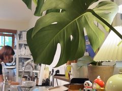 -本無咖啡·BeanWood Coffee