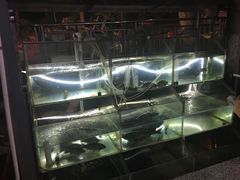-恋拐子油爆虾·家常菜