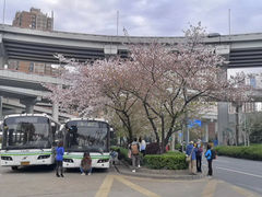 -南浦大桥长途旅游客运站