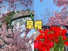 -南山植物园