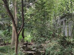 -镇江市南山风景名胜区竹林景区