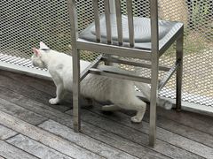 -原乡芦茨咖啡