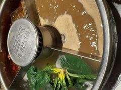 -巴奴毛肚火锅(二七万达店)