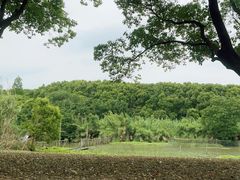 -沙家浜风景区