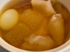 云南松茸花胶炖鸽蛋-海味观(老西门店)