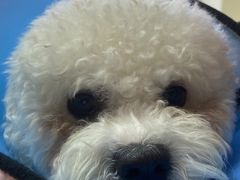 -爱派特动物医院·全科诊疗中心