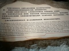 -重庆自然博物馆(新馆)