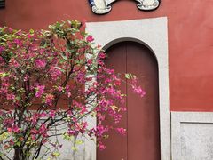 -乌山风景区