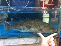 -海帮主·蒸汽海鲜青岛菜(栈桥火车站店)