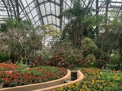 -南山植物园