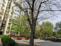 -眉州东坡(民族园店)