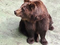 -深圳野生动物园