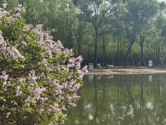 -森林公园(尖草坪区)