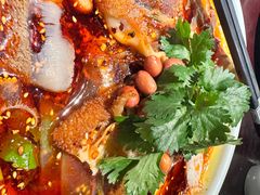 -陈麻婆豆腐总店