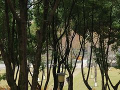 -重庆市江北嘴中央商务区中央公园