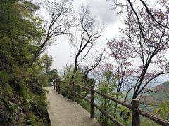 -秦岭天竺山景区