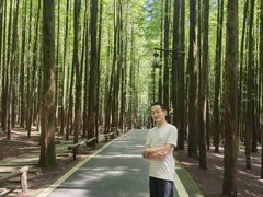 -山王坪喀斯特国家生态公园