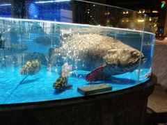 -徐记海鲜(梅溪新天地店)