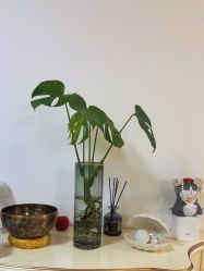 -美肤盾祛痘·问题肌头疗管理中心