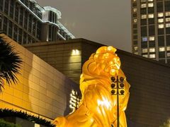 -澳门威尼斯人综合度假区
