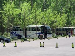 -黄海国家森林公园